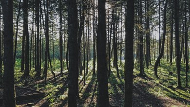 Photo by: Etienne Delorieux | Source: Unsplash
